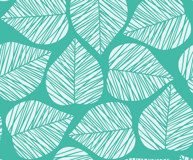 Grow towards the light: lessons from a leaf on strength and adaptability